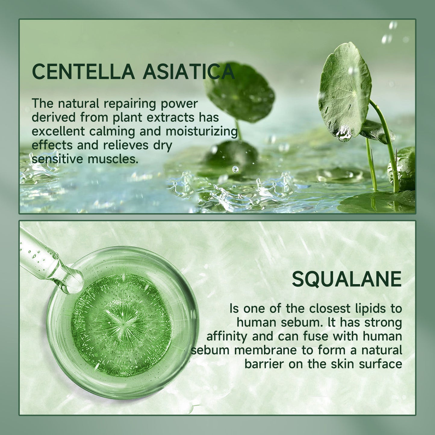 Centella Asiatica Essence Stick